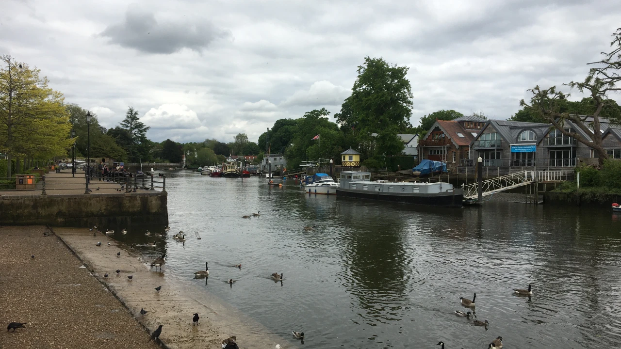 Eel Pie Island